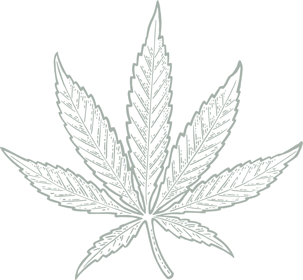 Between The Ferns Cannabis Leaf